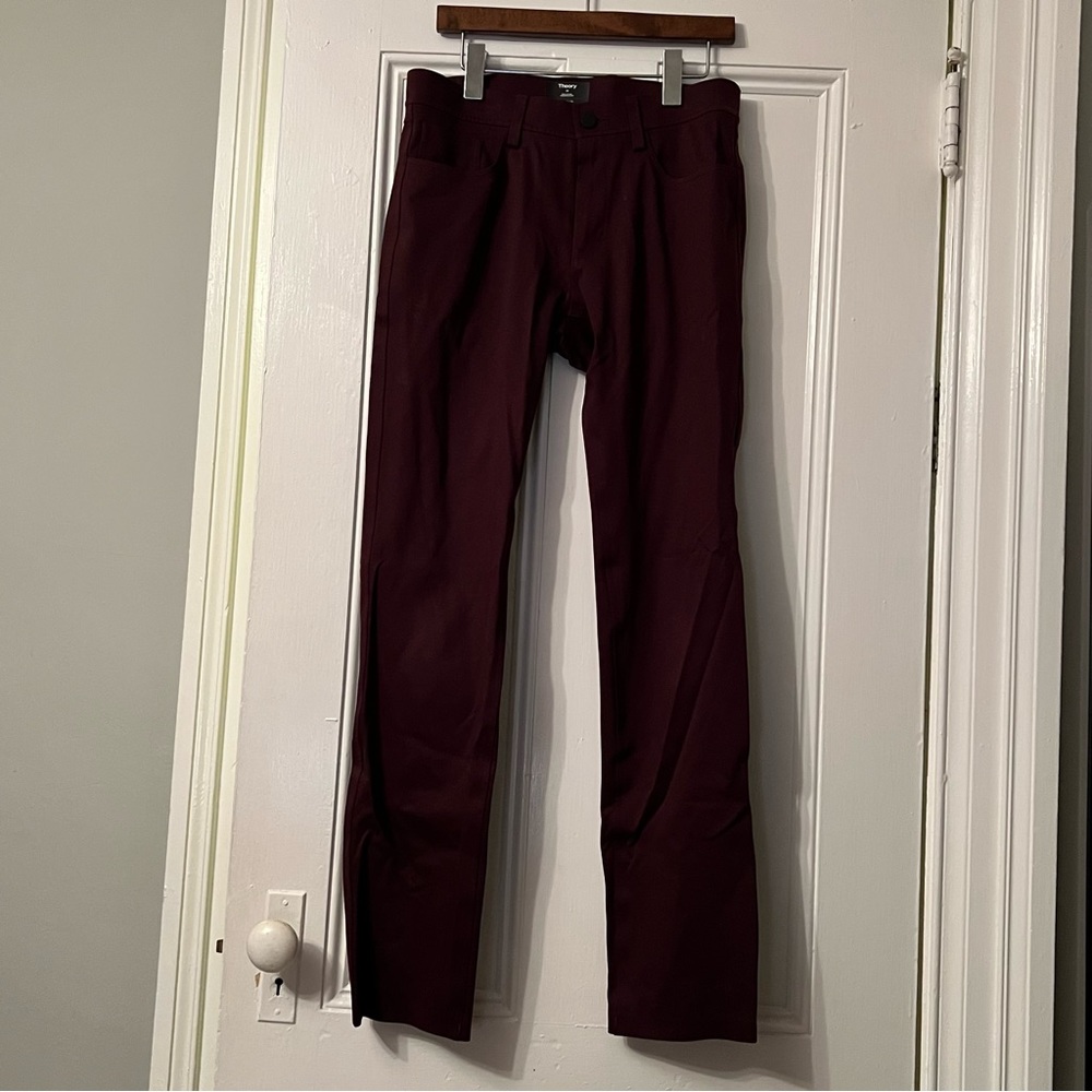 Theory Raffi Pant